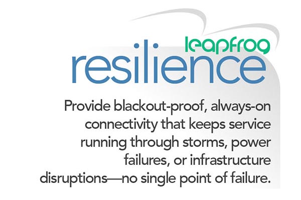Leap Frog Resilience